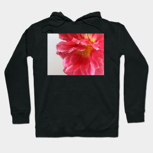 blütenliebe, blütentraum, gartenzauber, gartengluck, blumenkunst, floralart, blumenzauber, gartenzeit, floralbeauty, blumeninspiration, blütenmeer, floraldesign, nature, blumenfantasie, flora Hoodie